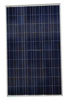 Panneau solaire, 250w, poly
