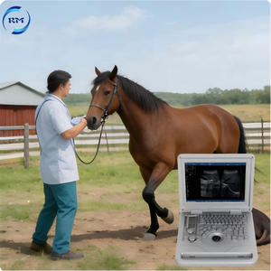 Appareil d'échographie pour animaux électriques avec écran LED pour bovins, chevaux, moutons, scanner d'échographie portable pour animaux gestants - Product Image 1