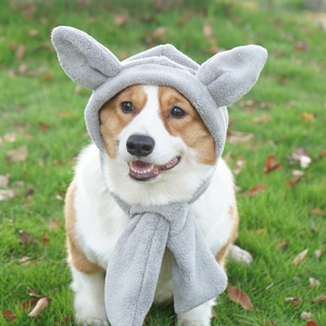 <span class=keywords><strong>Cappello</strong></span> Invernale Caldo <span class=keywords><strong>e</strong></span> Antivento per Animali Domestici <span class=keywords><strong>e</strong></span> Proprietari, Accessori per Cani <span class=keywords><strong>e</strong></span> Gatti, Servizio OEM/ODM Personalizzabile - Product Image 2
