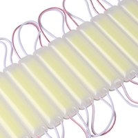 Độ Sáng Cao Hơn DC12v IP65 Không Thấm Nước Ice Blue LED COB Modulos
