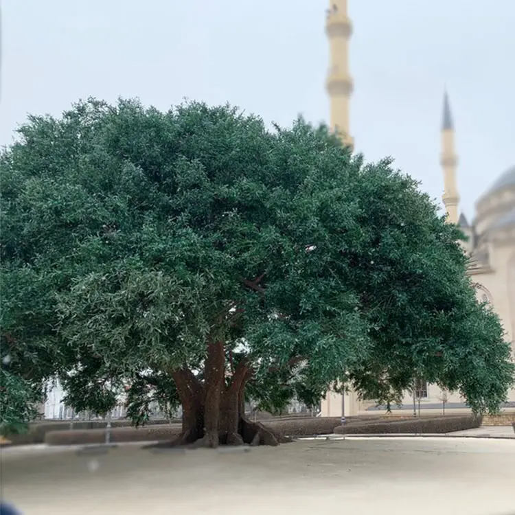 ใบ Ficus Banyan ใบเทียม,ต้นไม้มะกอกเทียมและต้นไม้สำหรับขาย