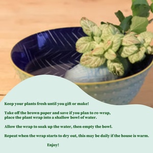 Kit de terrarium en verre écologique DIY, style campagnard, avec bouchon en liège, pour fleurs ou plantes vertes - Product Image 2