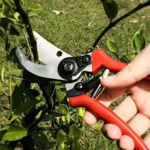 Mão pequena vermelha aparar tesoura poda ferramenta tesoura jardim para jardim