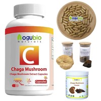 Poudre d'extrait de champignon Chaga de qualité alimentaire en gros, complément alimentaire santé avec vitamines, 1 kg