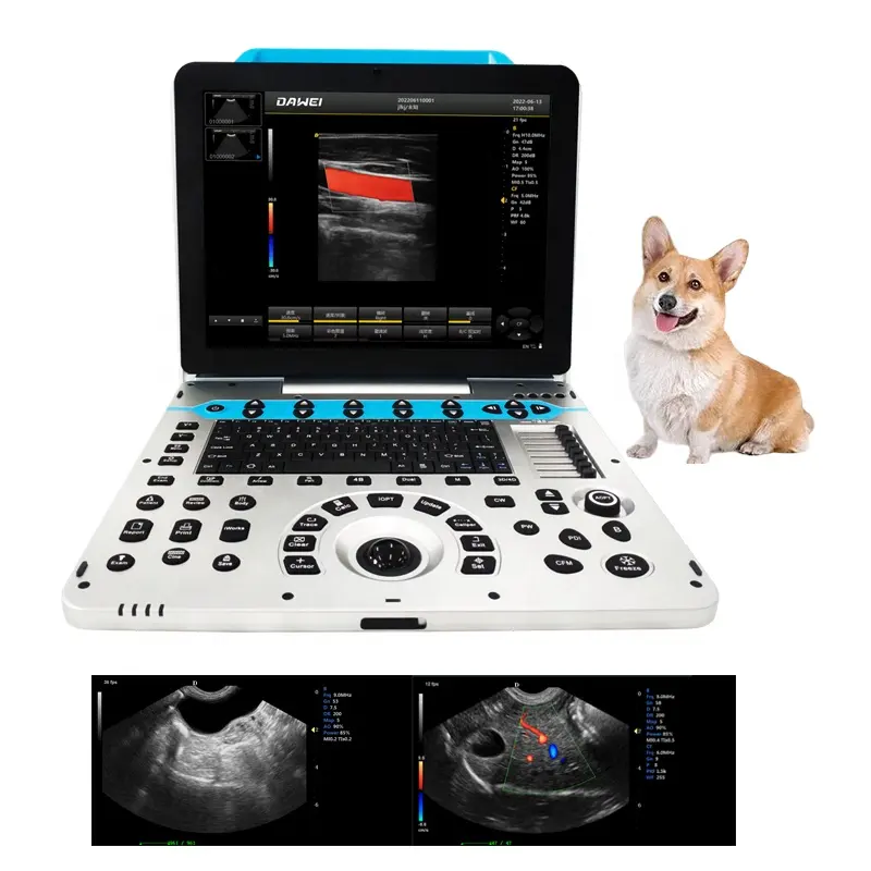 Dawei ветеринарное оборудование, полностью цифровой портативный ультразвуковой сканер для животных