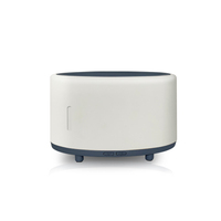 Humidificateur d'air ultrasonique 200ml personnalisé avec flamme lumière LED diffuseur d'arôme de flamme le pulvérisateur BT aromathérapie musicale