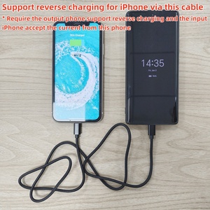 สายชาร์จโลหะ C กับไฟสำหรับ <span class=keywords><strong>iPhone</strong></span> <span class=keywords><strong>5</strong></span>-14 iPad MOQ ต่ำโรงงานขายส่ง - Product Image 6