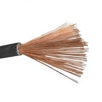 2,5mm Schwarzer Kupferleiter PVC-Isolierung Elektrisches Kabel 0D3.6 für Gebäudeverkabelung und Stromanschluss