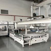 Máquina Automática de Empaquetado para Línea de Empaquetado de Cartones y Cajas