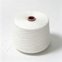 OEM Factory Price 21S Ring Spun Twist 100% Polyester Yarn High Tenacity White Raw Material Textile Weaving Knitted Products