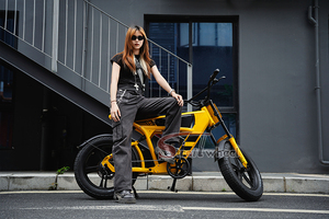 750W 48V <strong>Bicycle</strong> for Men 48v <strong>Bicycle</strong> for Girls <strong>Bicycle</strong> for Women - Product Image 5