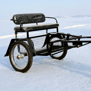 Top-Selling Marathon Training Pony Carriage <b>with</b> Q235B Steel Frame Soft <b>Leather</b> <b>Seats</b> for 1-2 Persons-Modern Touring Cart - Product Image 1