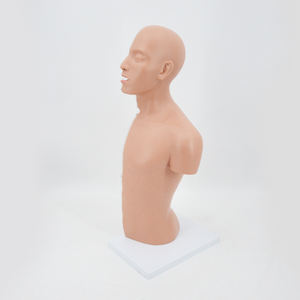 Modèle de tonométrie pour la cavitation nasale et le bras, sex toy, santé naturelle, modèle Torso, cavités du ventre, modèle d'anatomie, équipement éducatif - Product Image 2