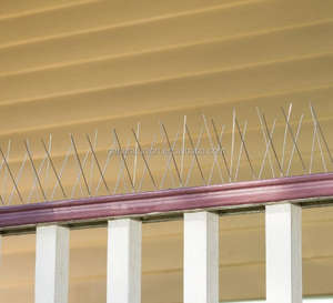 Pointes <span class=keywords><strong>anti</strong></span>-oiseaux en acier inoxydable 304 pour jardin et toit, durée de vie pratique de 10 ans - Product Image 5