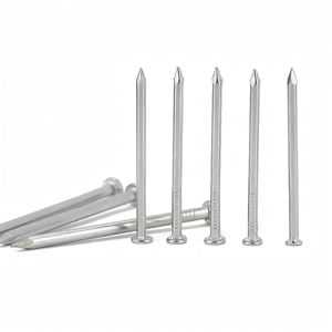 Fixations <span class=keywords><strong>de</strong></span> clous en béton <span class=keywords><strong>de</strong></span> <span class=keywords><strong>fer</strong></span> galvanisé en acier au carbone Clous métalliques communs zingués en acier inoxydable - Product Image 1