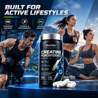 Capsules de créatine monohydrate à formule personnalisée, 120 capsules de 2,5 g, étiquette privée, nutrition sportive, OEM ODM