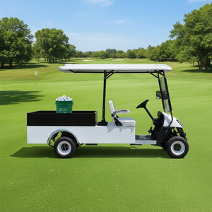 Voiturette de <span class=keywords><strong>golf</strong></span> électrique 2 places 48V/72V avec boîte de chargement, véhicule utilitaire agricole tout-terrain, certifiée DOT/EEC/GCC, haute qualité - Product Image 2