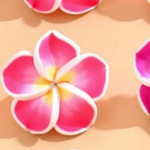 Verano playa viaje vacaciones Shell flor pulsera bohemio colorido Frangipani Shell hecho a mano tejido collar tobillera conjunto - Product Image 5