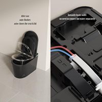 WC intelligent monobloc, couleur personnalisée, OEM/ODM, double chasse d'eau, pour appartement moderne