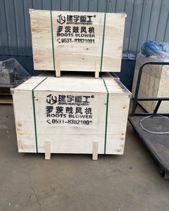 เครื่องเป่าล<span class=keywords><strong>ม</strong></span>รูทส์เกรดอุตสาหกรร<span class=keywords><strong>ม</strong></span>: บำรุงรักษาง่ายและทนทานสำหรับการใช้งานต่อเนื่อง - Product Image 4