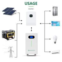 Batterie LiFePO4 48V 16kWh 314Ah, pack de batteries solaires avec BMS à équilibrage actif pour le stockage d'énergie domestique et l'utilisation hors réseau
