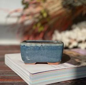 Pots succulents ronds en céramique peints en bleu de style de vente chaude avec plateau - Product Image 1