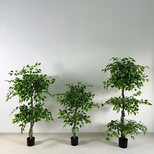 <span class=keywords><strong>Ficus</strong></span> en plastique double couche Artificial Trunk Layer <span class=keywords><strong>Ficus</strong></span> Tree <span class=keywords><strong>Pot</strong></span> pour décoration de magasin-149 - Product Image 1
