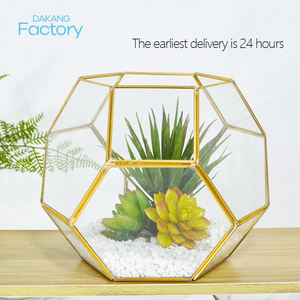Jardinière de <span class=keywords><strong>Terrarium</strong></span> en verre géométrique noir fait à la main petit Pot de fleur pentagone pour plantes succulentes décor de table <span class=keywords><strong>Terrarium</strong></span> - Product Image 3