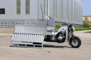 Motocicleta triciclo eléctrico de 3 ruedas, salida de fábrica para adultos, furgoneta de pasajeros y camión, taxi para <span class=keywords><strong>transporte</strong></span> de carga - Product Image 5