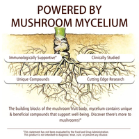 Capsules de Cordyceps Sinensis de haute qualité, marque privée OEM, pour améliorer la fonction respiratoire et soutenir la santé des reins