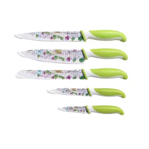 6 pcs plastic handle stainless steel non-stick coating decal printing blade knife set flower pattern knife cutlery set