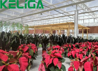 Keliga Serre en verre intelligente Plantation agricole Serre à travée multiple à usage commercial avec système de pare-soleil