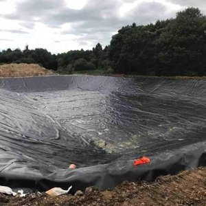 Géomembrane HDPE Barrière anti-racines de <span class=keywords><strong>bambou</strong></span> 1mm 2mm Revêtement de décharge lisse 1.5mm 1mm Coût de revêtement Malaisie - Product Image 6