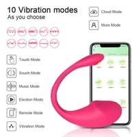 Meistverkauftes Mini-Delfin-Vibrations-Ei Erotikprodukt für Erwachsene Kabellose Fernbedienung 10-Frequenz Starke Vibration Vaginaler Vibrator