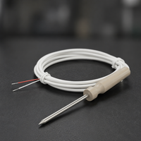 Sensor de Temperatura RTD PT1000 Industrial de Alta Precisión, Sonda de Acero Inoxidable SUS304 de 1700 mm para Horno, Barbacoa, Caldera y Otros Equipos