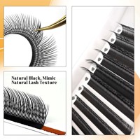 Extensions de cils en forme de Y Fox, extensions de cils gauche et droite, effet eyeliner 0,07 mm, plateaux de cils effet œil de renard, fournitures