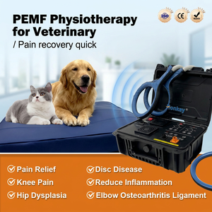 Máquina PEMF Popular para Uso Animal, Mejora la Flexibilidad y Movilidad de las Articulaciones, Máquina de Terapia PEMF para Uso Doméstico - Product Image 1