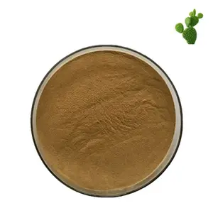 Nuoyuan Hot selling Food grade Free Sample Factory supply Prickly pear cactus extract powder with best price
