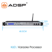 Usine en gros métal karaoké effecteur haut-parleur processeur processeur Audio numérique Double écho Bluetooth/filaire/connectivité USB