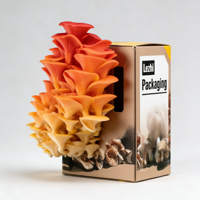 Boîte d'emballage personnalisée pour kit de culture de champignons, vente en gros à bas prix, avec poignée, étanche, pour kit de champignons frais, en papier kraft