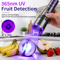 Lampe torche UV portable 20W rechargeable USB-C au lithium 365nm, étanche IP66 en alliage d'aluminium pour camping, détection d'urine canine et de jade