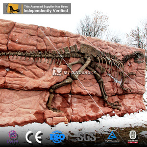 Muro fósil de dinosaurio Artificial de tamaño natural de alta calidad My Dino para equipo de <span class=keywords><strong>parque</strong></span> temático - Product Image 4