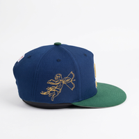 Casquette Snapback 5 Panneaux en Coton 100% avec Broderie 3D et Impression Sérigraphique, Style Hip Hop/Casual, pour le Sport et les Activités de Plein Air