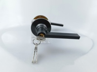 Cerradura de manija de puerta de aleación de Zinc de alta calidad, cerradura de palanca, cerradura de manija de entrada Exterior Interior, cerradura de palanca Tubular