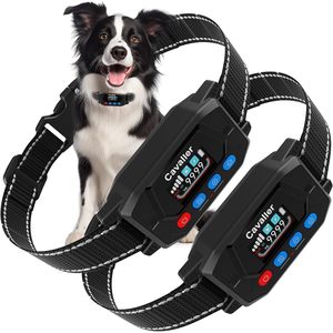 Collier de dressage pour chien Cavaller avec GPS, étanche, pour utilisation en extérieur, pour animaux de compagnie, lot de 2, nylon noir - Product Image 1