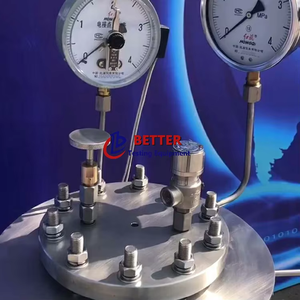 <strong>Autoclave</strong> - Product Image 2