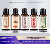 Coffret de voyage d'échantillons d'huiles essentielles de massage à l'armoise, Huile botanique verte infusée au gingembre, Huile de pépins de raisin hydratante pour la beauté
