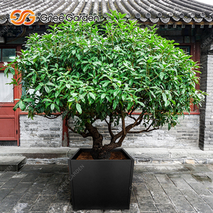 Jardinera Cuadrada de Acero Galvanizado para Decoración de Hogar y Jardín en Azoteas - Ligera y Duradera, Estilo Americano - Product Image 4