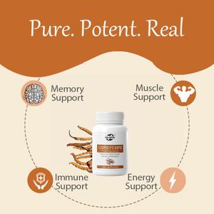 แคปซูลเห็ดถั่งเช่าขายดีแบบ OEM/ODM พร้อมเบต้ากลูแคน ช่วยเสริมพลังงาน กล้ามเนื้อ สุขภาพปอด และสมรรถภาพ - Product Image 3