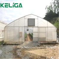 Serres agricoles personnalisées hydroponique Nft Channel systèmes de culture pour la culture